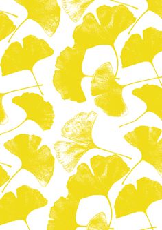 邠国胡杨的个人主页（背景预览） - 主页背景设置 - 站酷设计师邠国胡杨原创素材 - 站酷ZCOOL