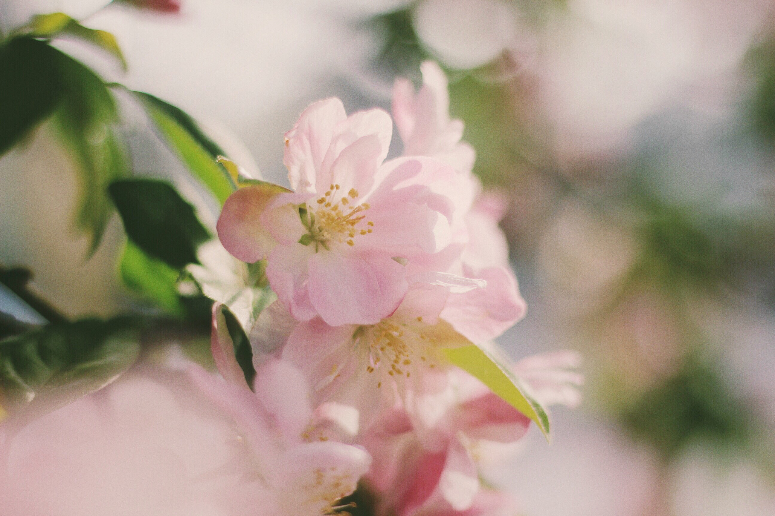 歐了個(gè)呱的個(gè)人主頁（背景預(yù)覽） - 主頁背景設(shè)置 - 站酷設(shè)計(jì)師歐了個(gè)呱原創(chuàng)素材 - 站酷ZCOOL