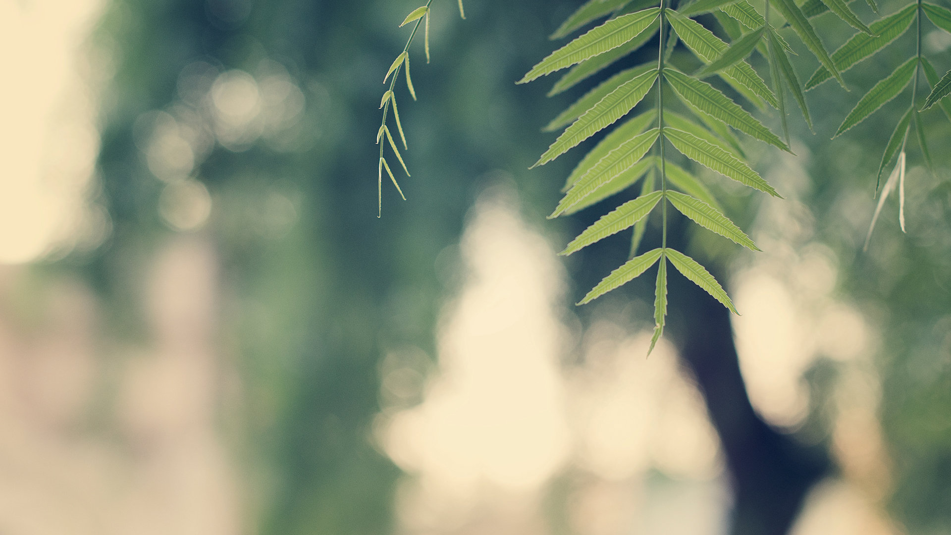 光塵_的個(gè)人主頁（背景預(yù)覽） - 主頁背景設(shè)置 - 站酷設(shè)計(jì)師光塵_原創(chuàng)素材 - 站酷ZCOOL