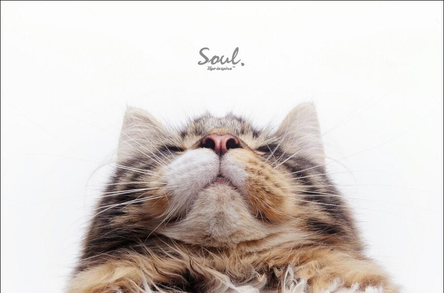 Yolanda媛的個人主頁（背景預(yù)覽） - 主頁背景設(shè)置 - 站酷設(shè)計師Yolanda媛原創(chuàng)素材 - 站酷ZCOOL