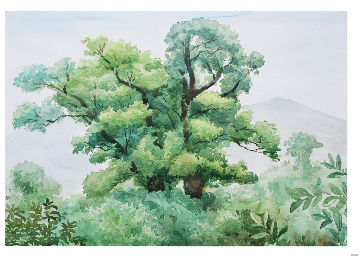 賽陽鎮(zhèn)刀客的個人主頁（背景預(yù)覽） - 主頁背景設(shè)置 - 站酷設(shè)計師賽陽鎮(zhèn)刀客原創(chuàng)素材 - 站酷ZCOOL