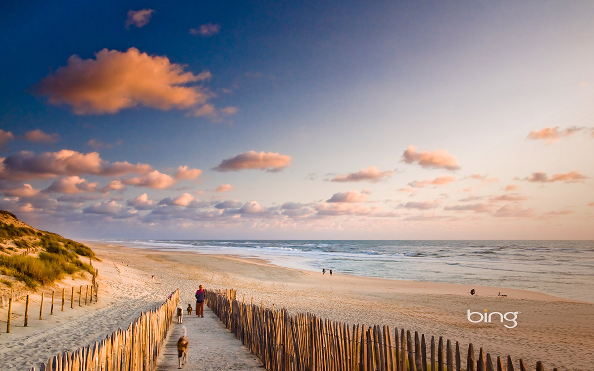 午夜酒鬼的个人主页（背景预览） - 主页背景设置 - 站酷设计师午夜酒鬼原创素材 - 站酷ZCOOL