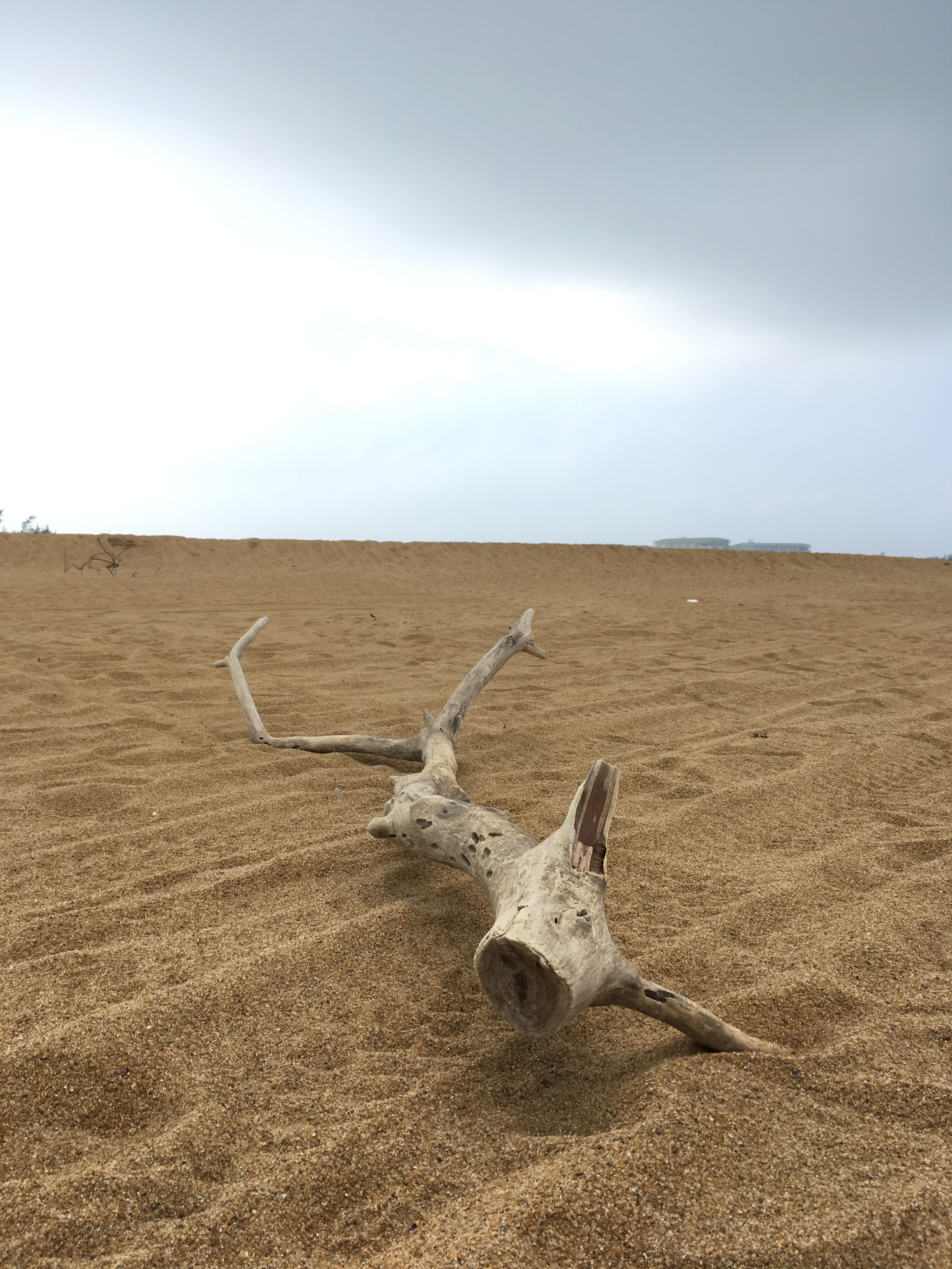 我家的海盜貓的個(gè)人主頁(yè)（背景預(yù)覽） - 主頁(yè)背景設(shè)置 - 站酷設(shè)計(jì)師我家的海盜貓?jiān)瓌?chuàng)素材 - 站酷ZCOOL