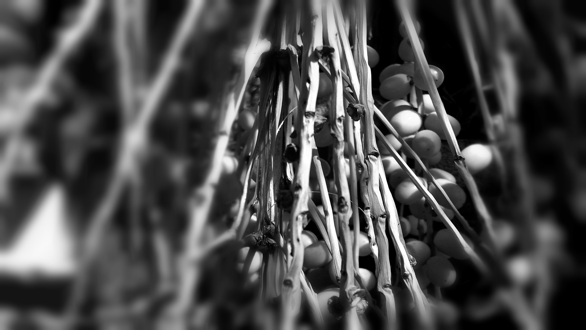 半拍01的个人主页（背景预览） - 主页背景设置 - 站酷设计师半拍01原创素材 - 站酷ZCOOL