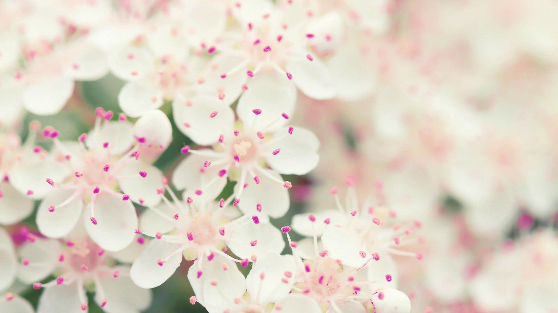 魅族女神的個人主頁（背景預(yù)覽） - 主頁背景設(shè)置 - 站酷設(shè)計師魅族女神原創(chuàng)素材 - 站酷ZCOOL