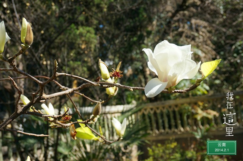 abby_M的个人主页（背景预览） - 主页背景设置 - 站酷设计师abby_M原创素材 - 站酷ZCOOL