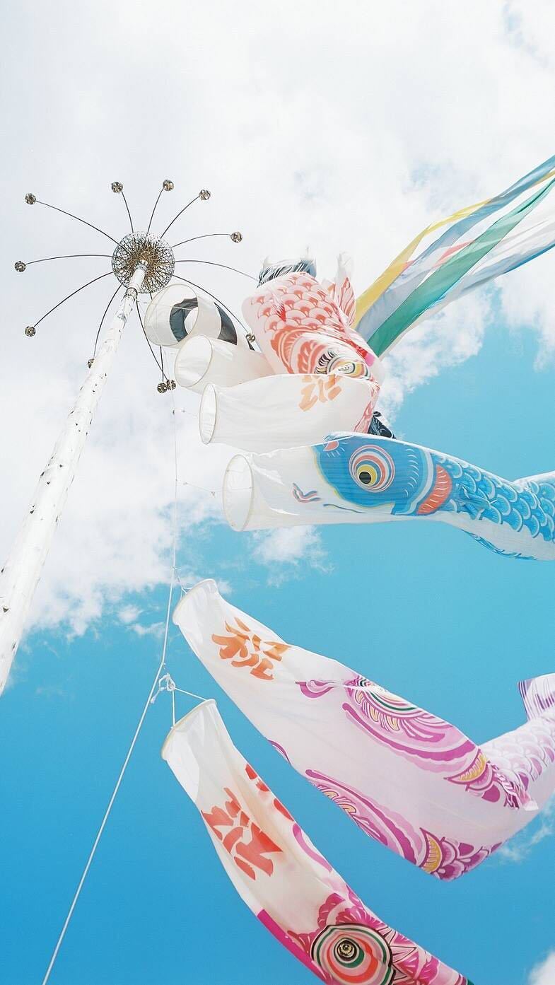 手可摘紫罗兰的个人主页（背景预览） - 主页背景设置 - 站酷设计师手可摘紫罗兰原创素材 - 站酷ZCOOL