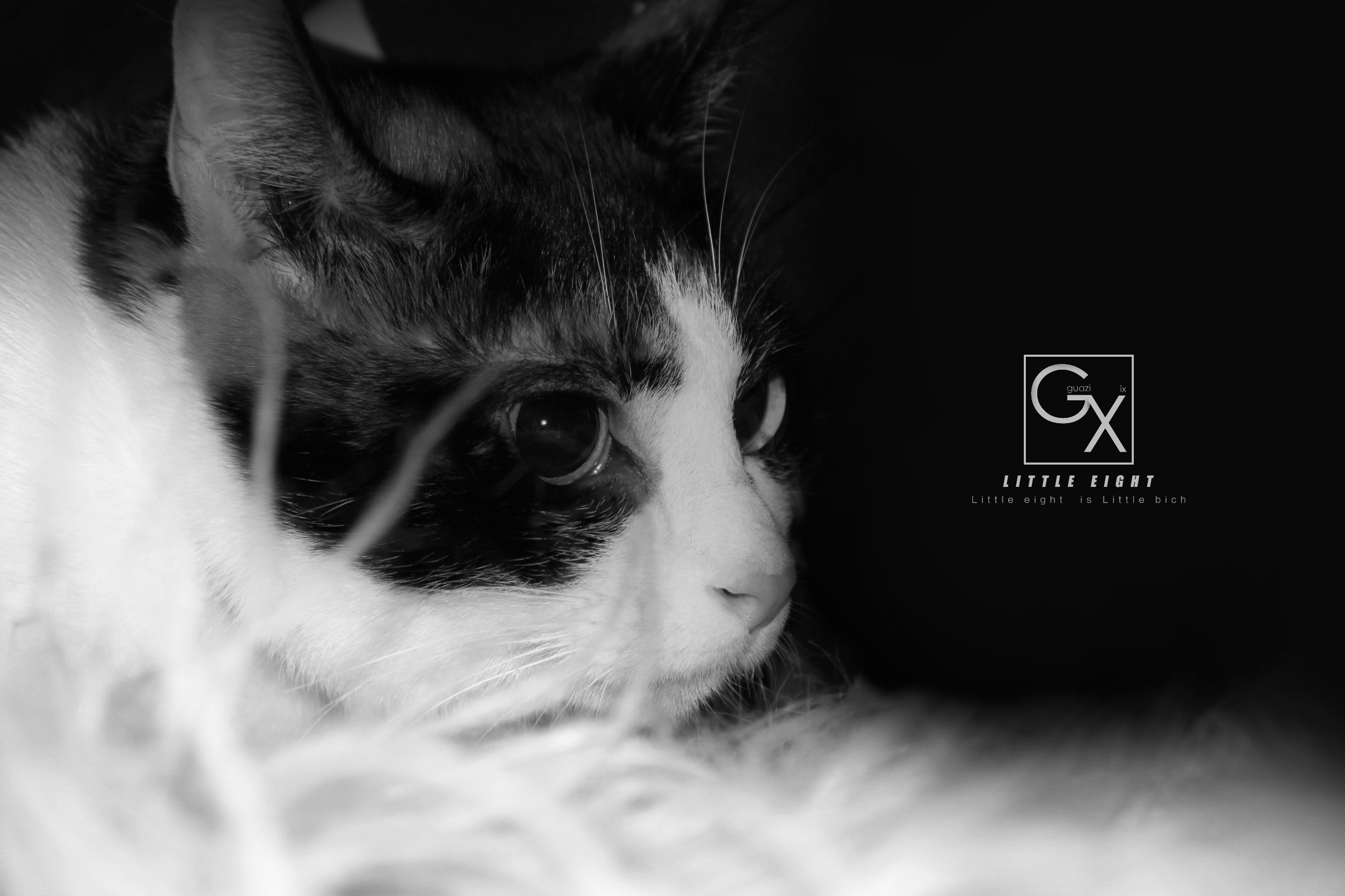 Guazix的个人主页（背景预览） - 主页背景设置 - 站酷设计师Guazix原创素材 - 站酷ZCOOL