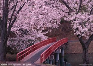 逸興愛(ài)幾線的個(gè)人主頁(yè)（背景預(yù)覽） - 主頁(yè)背景設(shè)置 - 站酷設(shè)計(jì)師逸興愛(ài)幾線原創(chuàng)素材 - 站酷ZCOOL