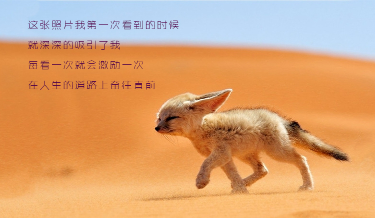 yuan7953的个人主页（背景预览） - 主页背景设置 - 站酷设计师yuan7953原创素材 - 站酷ZCOOL