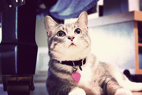 陈氏猎人的个人主页（背景预览） - 主页背景设置 - 站酷设计师陈氏猎人原创素材 - 站酷ZCOOL