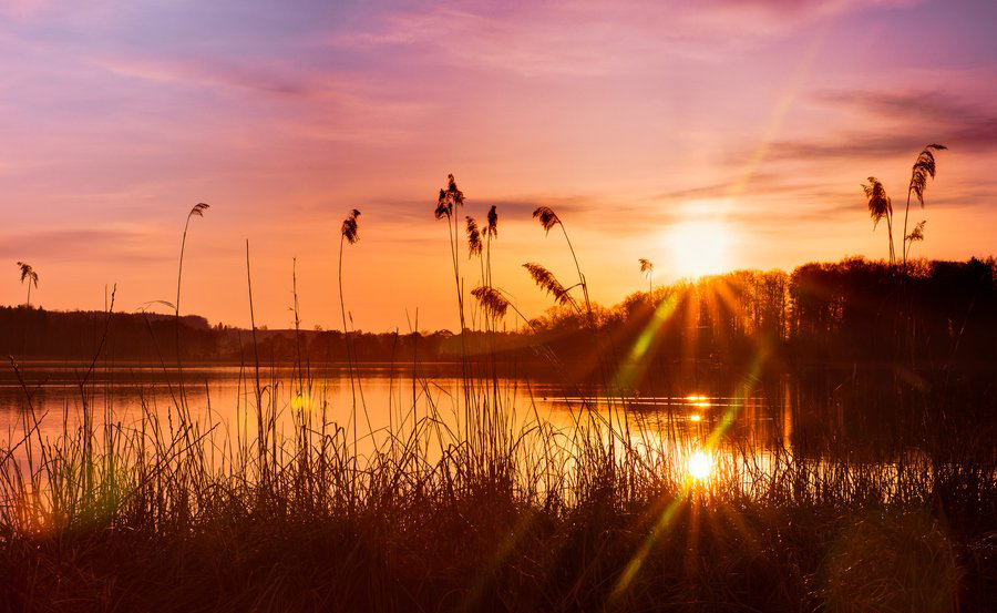Huanglijing001的個(gè)人主頁（背景預(yù)覽） - 主頁背景設(shè)置 - 站酷設(shè)計(jì)師Huanglijing001原創(chuàng)素材 - 站酷ZCOOL
