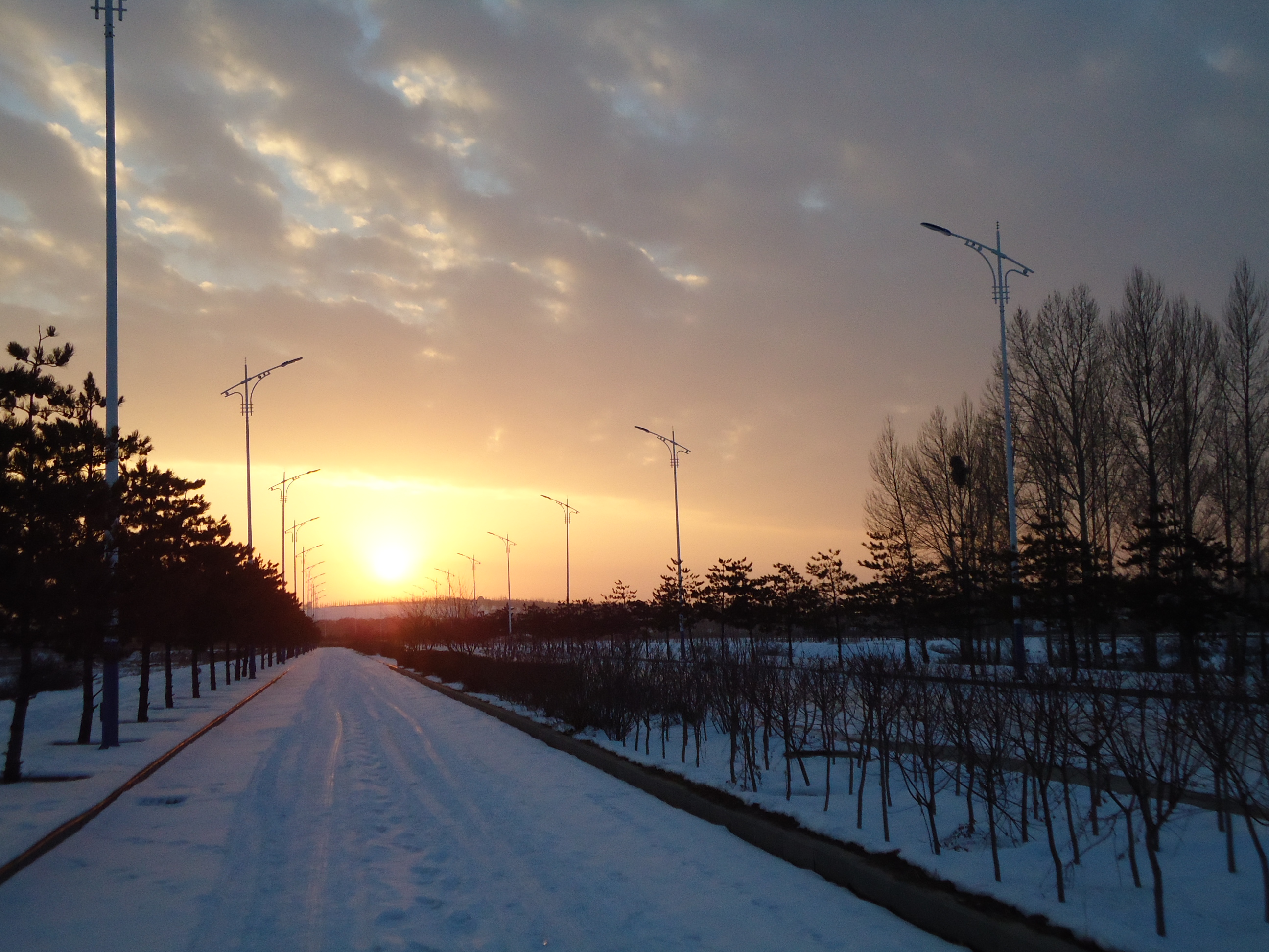 朔北以北的個(gè)人主頁（背景預(yù)覽） - 主頁背景設(shè)置 - 站酷設(shè)計(jì)師朔北以北原創(chuàng)素材 - 站酷ZCOOL