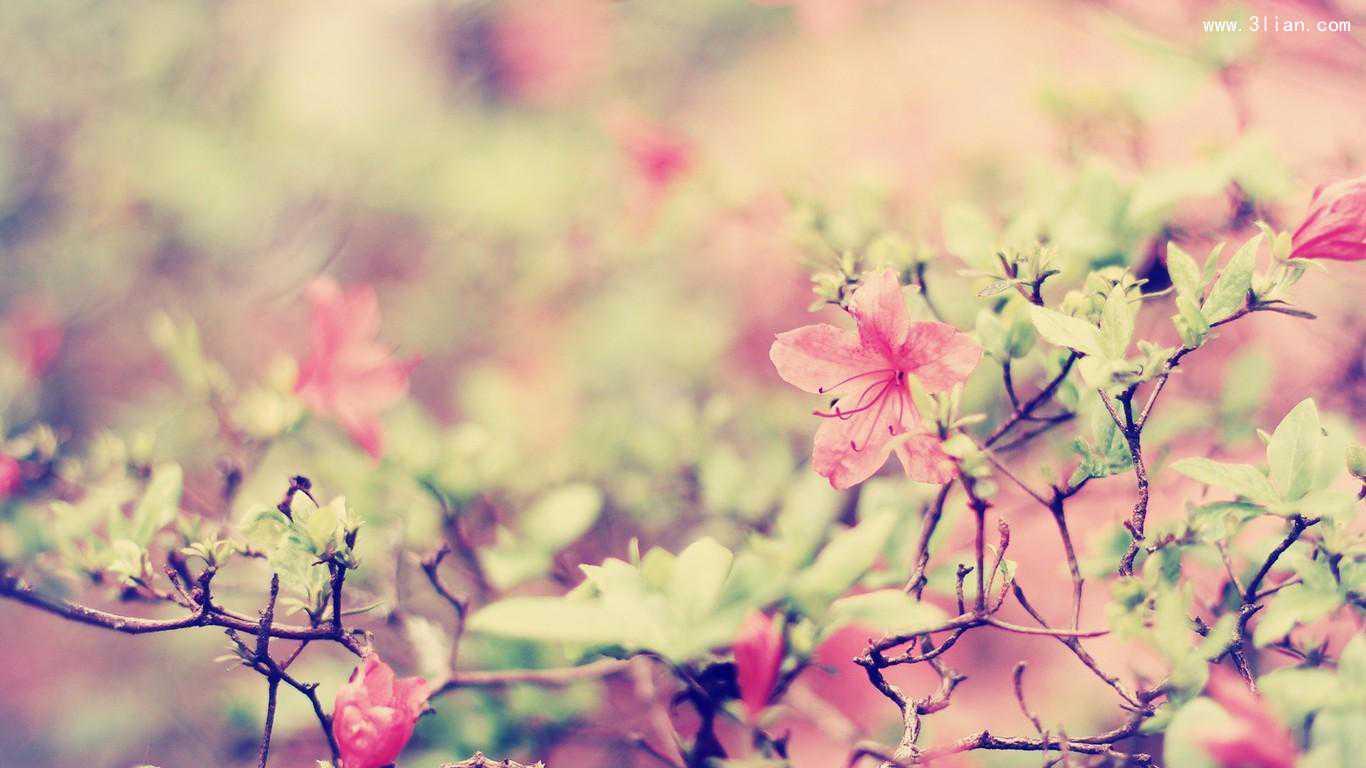 我是一个小萝卜的个人主页（背景预览） - 主页背景设置 - 站酷设计师我是一个小萝卜原创素材 - 站酷ZCOOL