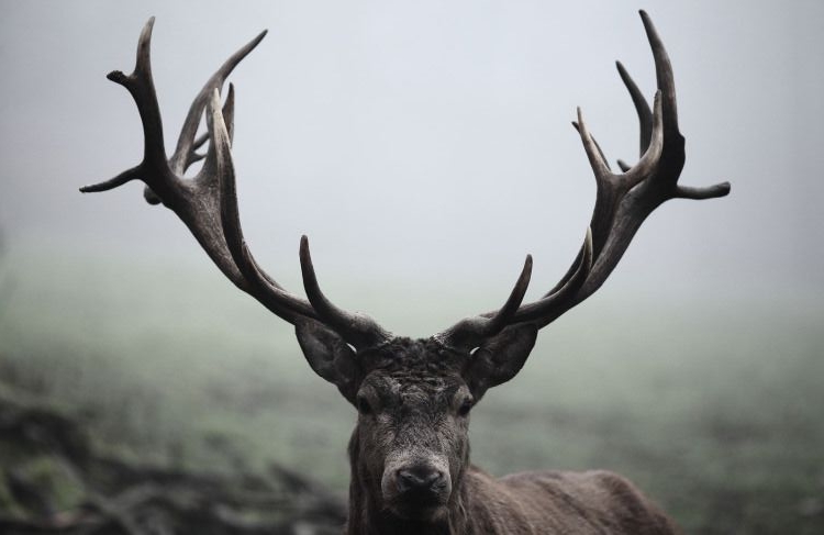 南宮穎軒的個人主頁（背景預覽） - 主頁背景設置 - 站酷設計師南宮穎軒原創(chuàng)素材 - 站酷ZCOOL
