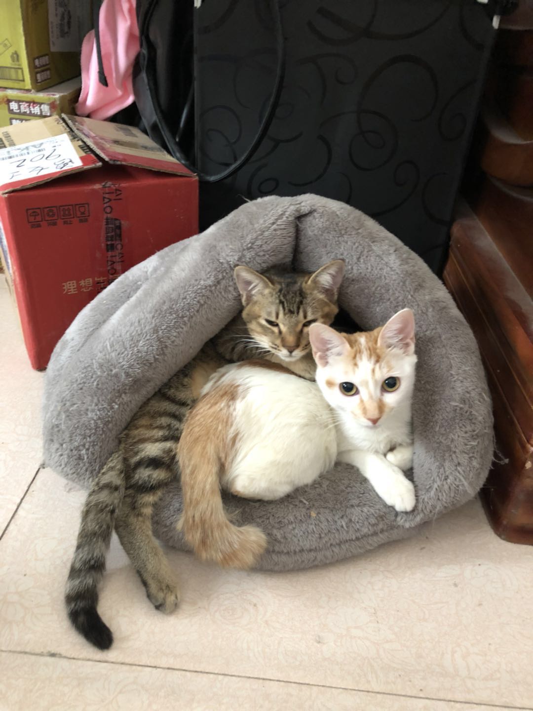 张十一吖的个人主页（背景预览） - 主页背景设置 - 站酷设计师张十一吖原创素材 - 站酷ZCOOL