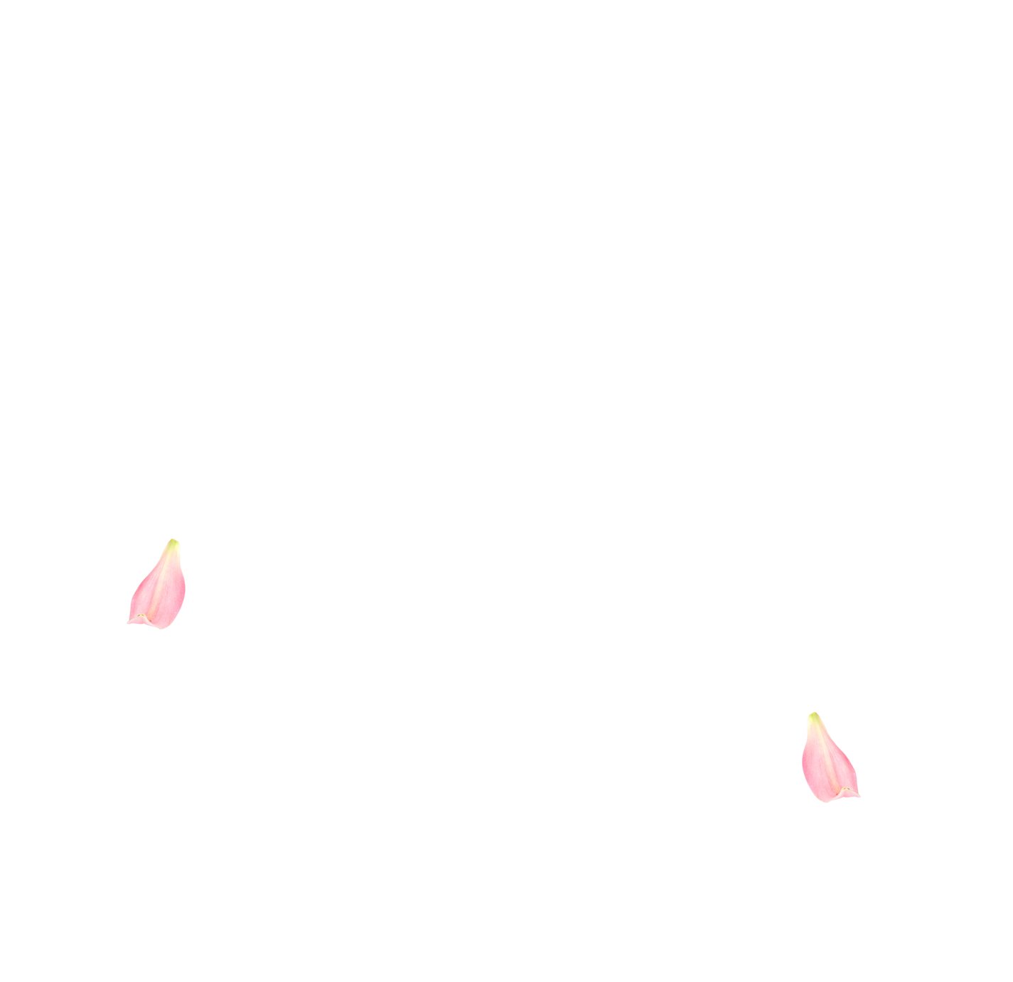 進擊熊的個人主頁（背景預(yù)覽） - 主頁背景設(shè)置 - 站酷設(shè)計師進擊熊原創(chuàng)素材 - 站酷ZCOOL