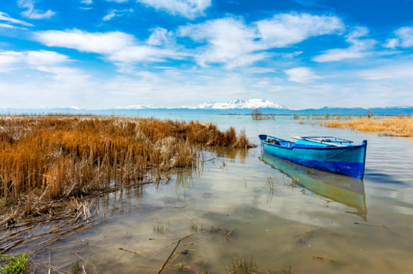 彌頓道36號的個人主頁（背景預(yù)覽） - 主頁背景設(shè)置 - 站酷設(shè)計師彌頓道36號原創(chuàng)素材 - 站酷ZCOOL