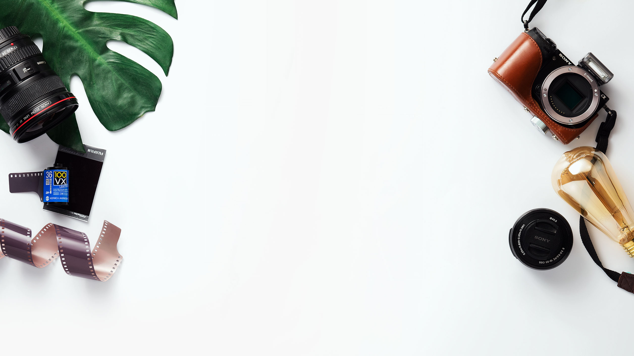 正小葉的個人主頁（背景預覽） - 主頁背景設置 - 站酷設計師正小葉原創(chuàng)素材 - 站酷ZCOOL