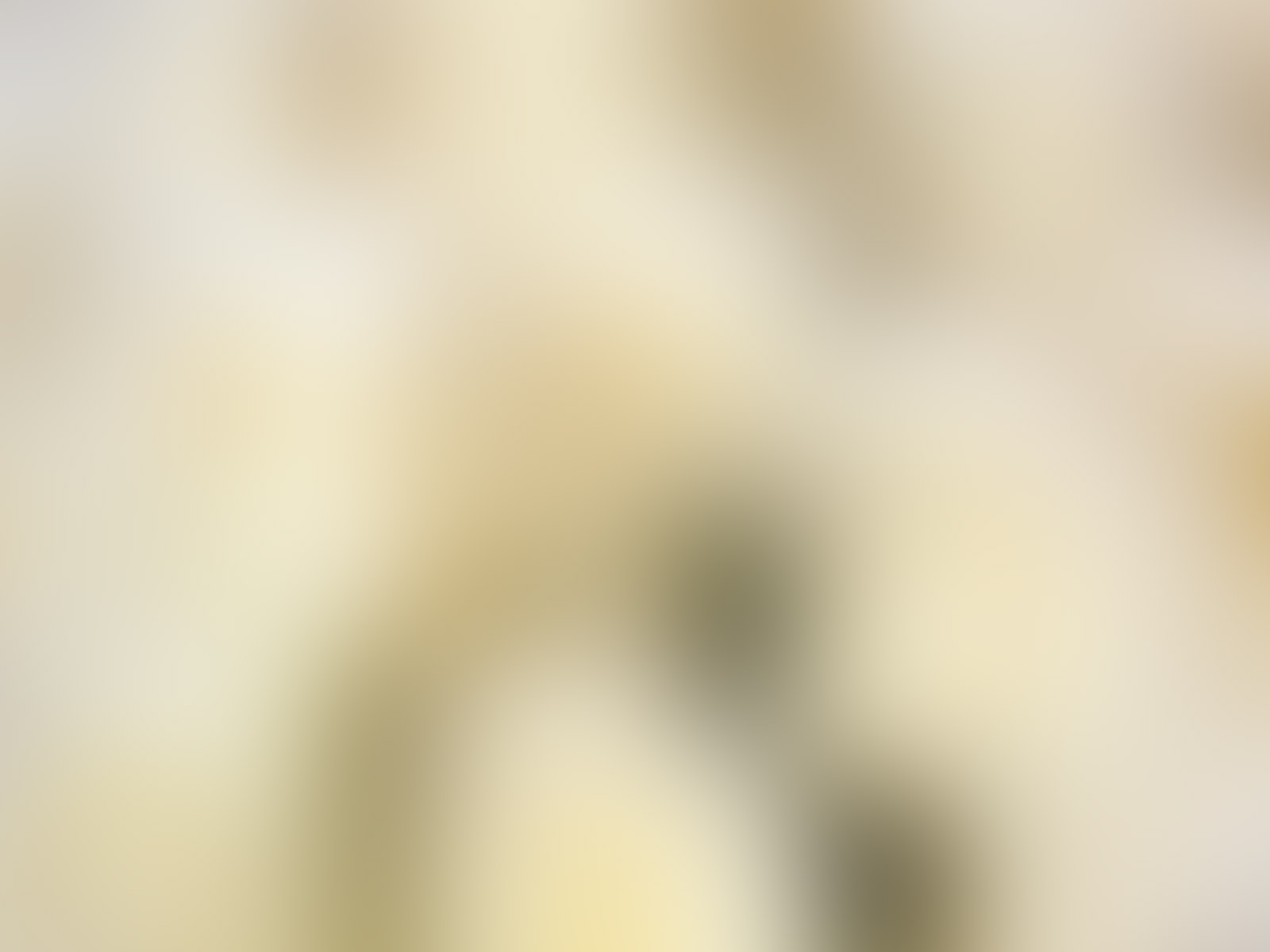 糖猫小雨的个人主页（背景预览） - 主页背景设置 - 站酷设计师糖猫小雨原创素材 - 站酷ZCOOL