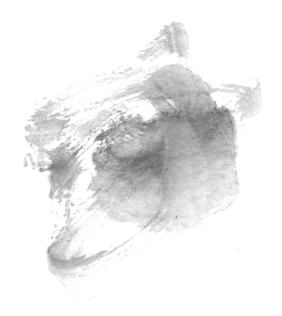 l328929136的個人主頁（背景預(yù)覽） - 主頁背景設(shè)置 - 站酷設(shè)計師l328929136原創(chuàng)素材 - 站酷ZCOOL