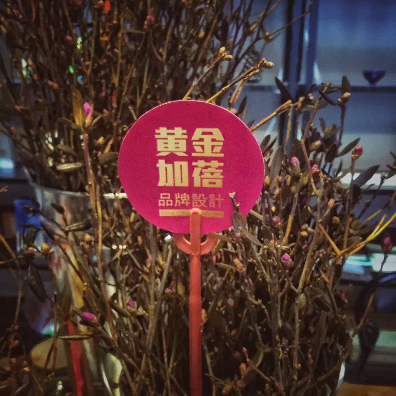 黃金加蓓的個人主頁（背景預(yù)覽） - 主頁背景設(shè)置 - 站酷設(shè)計師黃金加蓓原創(chuàng)素材 - 站酷ZCOOL