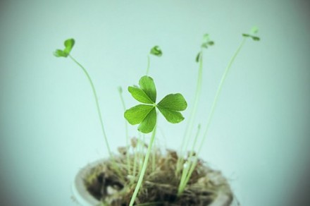 yiyi_zwl的個(gè)人主頁（背景預(yù)覽） - 主頁背景設(shè)置 - 站酷設(shè)計(jì)師yiyi_zwl原創(chuàng)素材 - 站酷ZCOOL