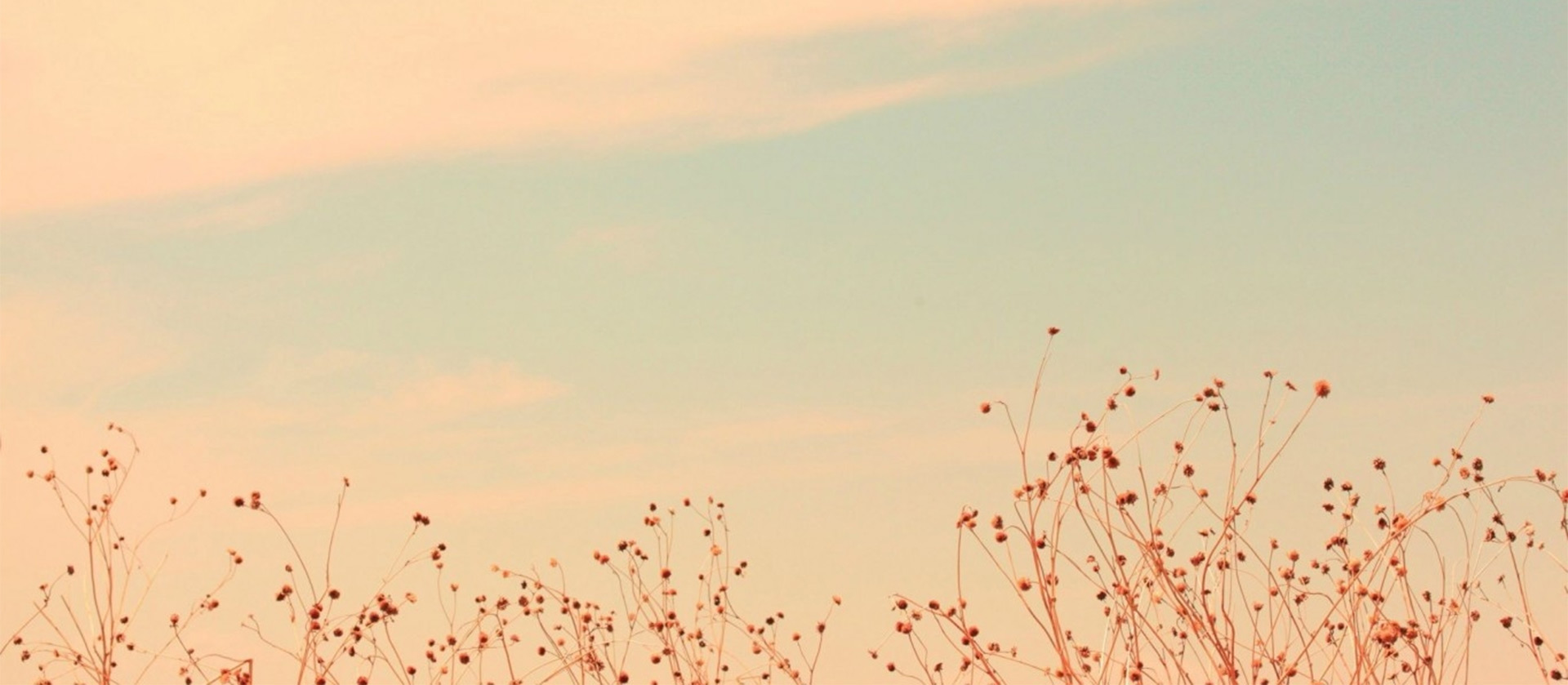 vivia豆豆的个人主页（背景预览） - 主页背景设置 - 站酷设计师vivia豆豆原创素材 - 站酷ZCOOL