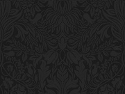 catcatbinbin的个人主页（背景预览） - 主页背景设置 - 站酷设计师catcatbinbin原创素材 - 站酷ZCOOL