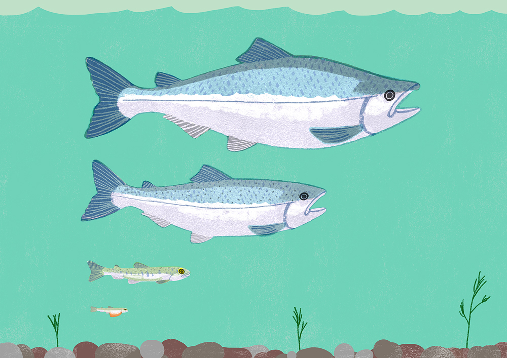 ytyt21的個(gè)人主頁(yè)（背景預(yù)覽） - 主頁(yè)背景設(shè)置 - 站酷設(shè)計(jì)師ytyt21原創(chuàng)素材 - 站酷ZCOOL