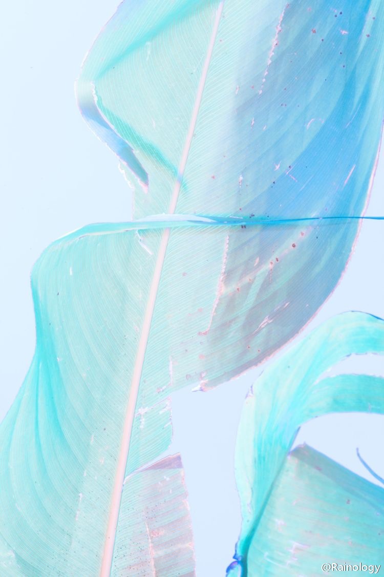 c君c君的個人主頁（背景預(yù)覽） - 主頁背景設(shè)置 - 站酷設(shè)計(jì)師c君c君原創(chuàng)素材 - 站酷ZCOOL