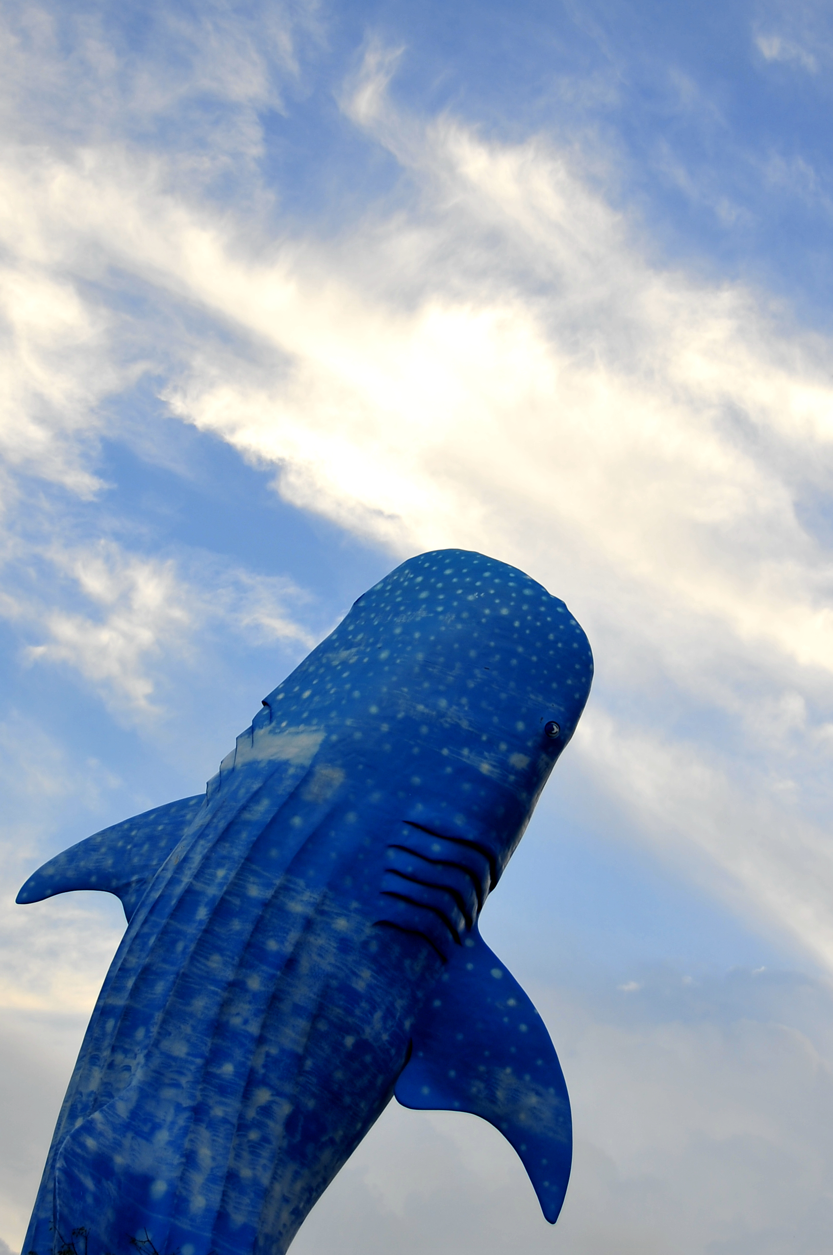 吾翰世的个人主页（背景预览） - 主页背景设置 - 站酷设计师吾翰世原创素材 - 站酷ZCOOL