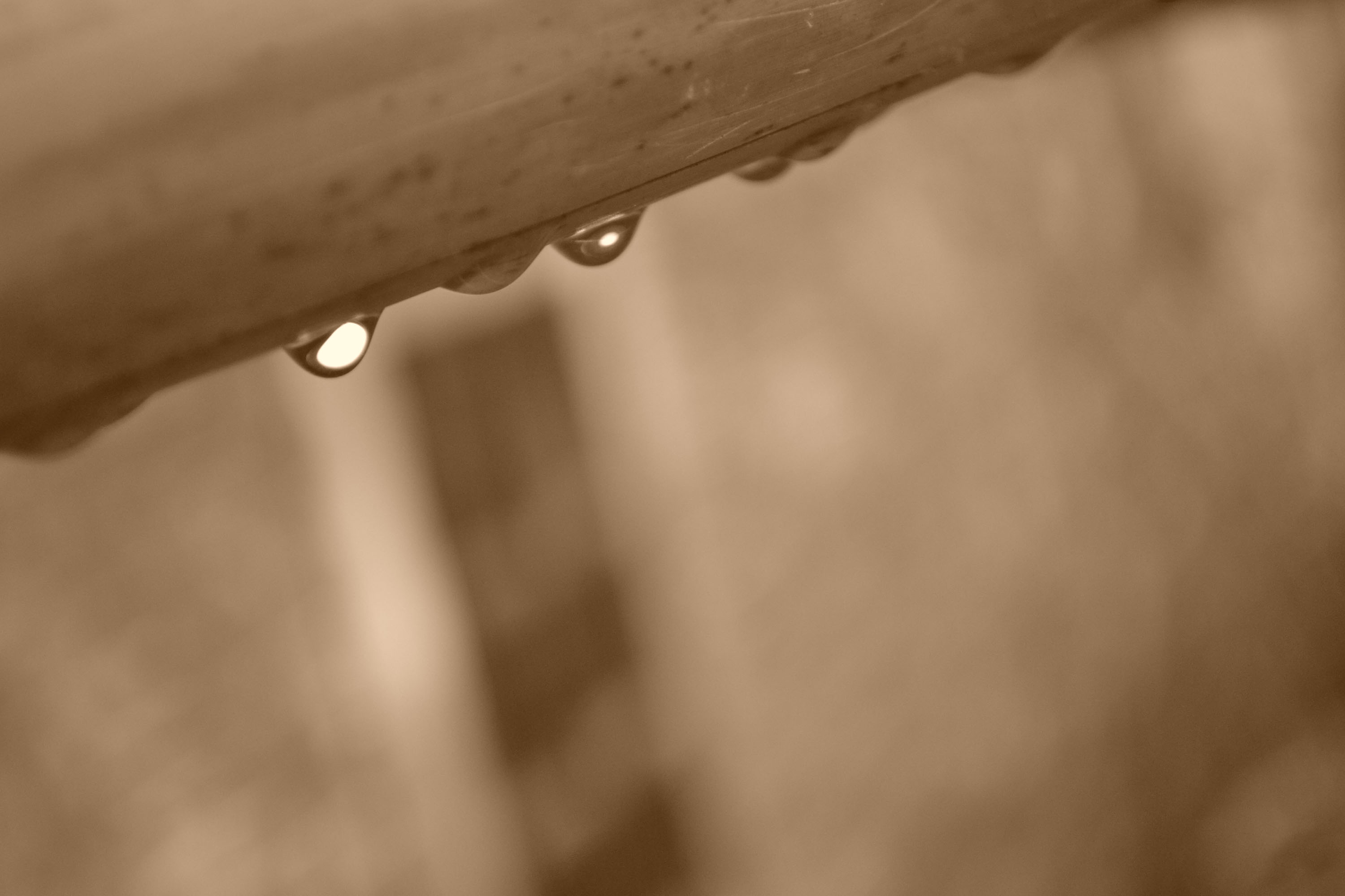 Icyy的个人主页（背景预览） - 主页背景设置 - 站酷设计师Icyy原创素材 - 站酷ZCOOL