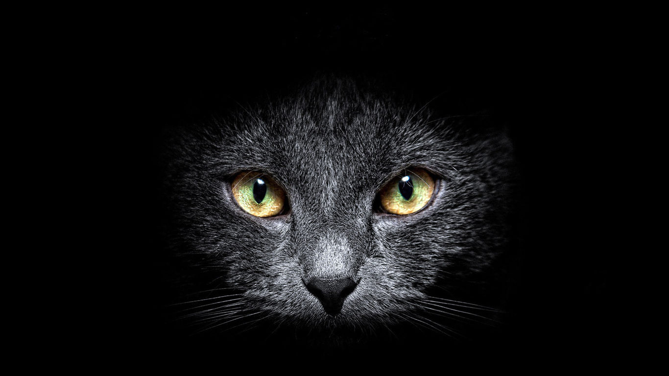 liubing77的個人主頁（背景預(yù)覽） - 主頁背景設(shè)置 - 站酷設(shè)計師liubing77原創(chuàng)素材 - 站酷ZCOOL