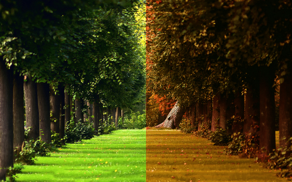 出海休閑游戲的個(gè)人主頁（背景預(yù)覽） - 主頁背景設(shè)置 - 站酷設(shè)計(jì)師出海休閑游戲原創(chuàng)素材 - 站酷ZCOOL