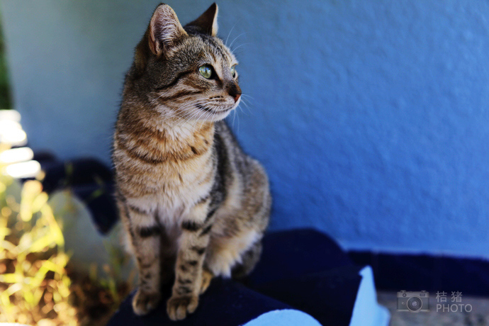 viko77的個人主頁（背景預覽） - 主頁背景設置 - 站酷設計師viko77原創(chuàng)素材 - 站酷ZCOOL