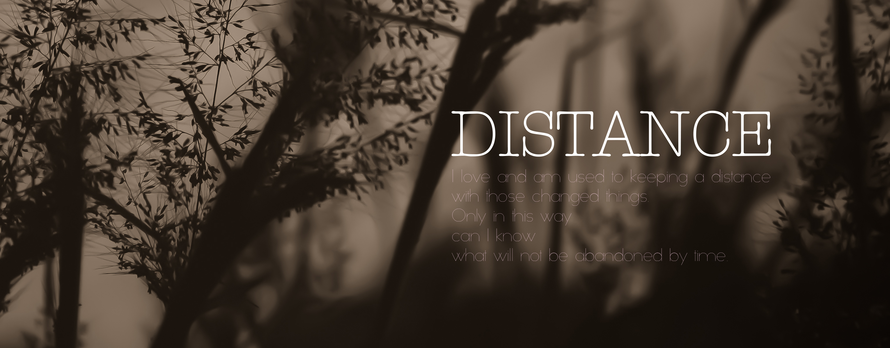 Dudulang的個(gè)人主頁（背景預(yù)覽） - 主頁背景設(shè)置 - 站酷設(shè)計(jì)師Dudulang原創(chuàng)素材 - 站酷ZCOOL