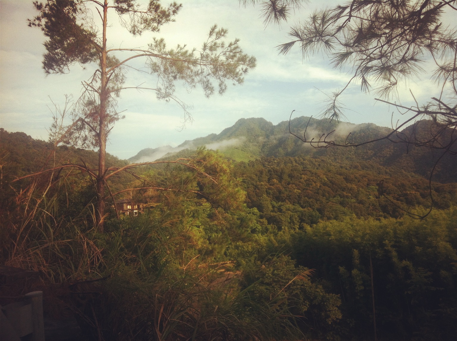 LSCULLEN的个人主页（背景预览） - 主页背景设置 - 站酷设计师LSCULLEN原创素材 - 站酷ZCOOL