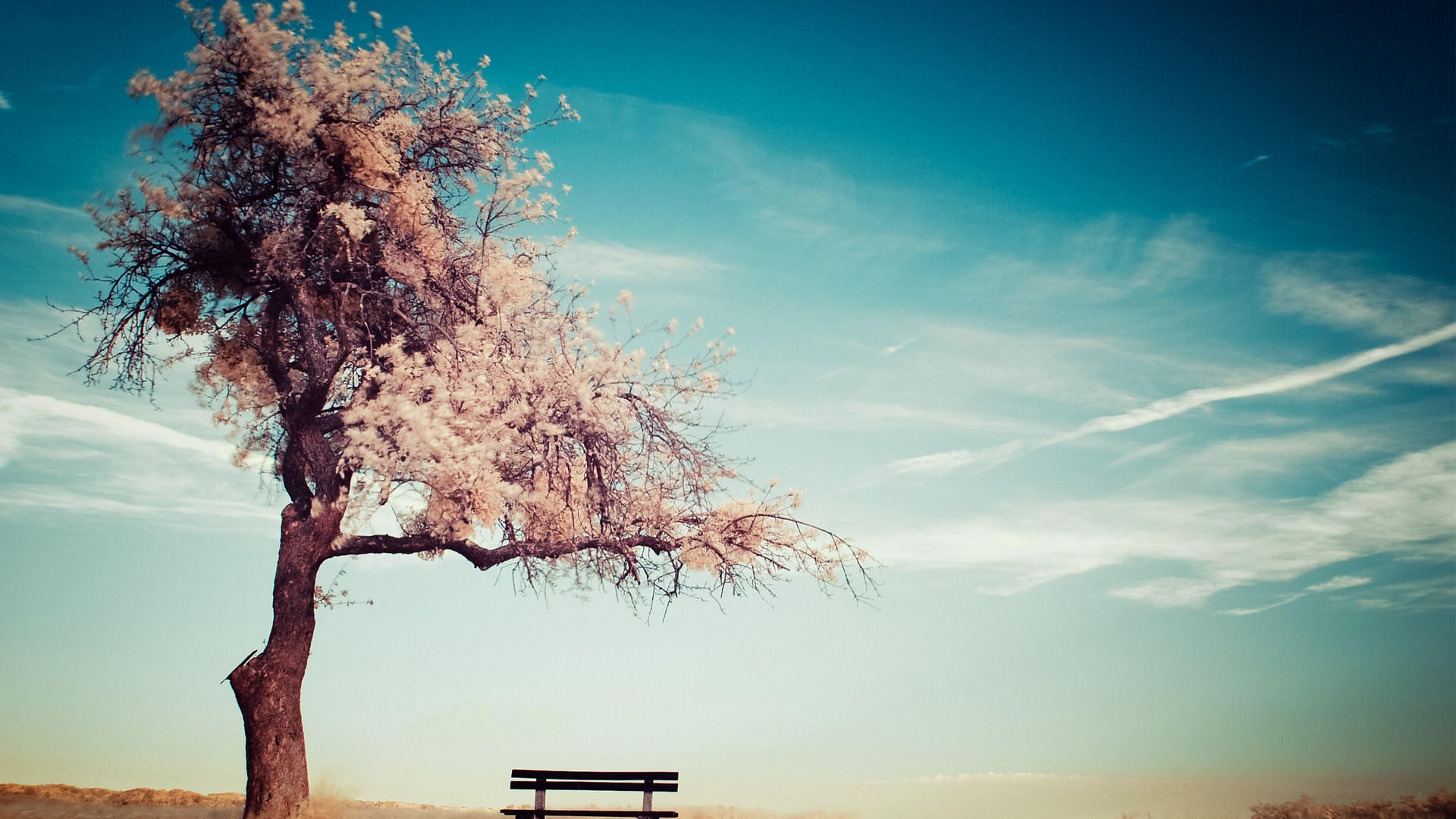 梦言之的个人主页（背景预览） - 主页背景设置 - 站酷设计师梦言之原创素材 - 站酷ZCOOL