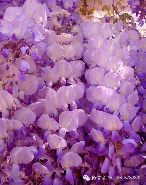 孙晓庆的个人主页（背景预览） - 主页背景设置 - 站酷设计师孙晓庆原创素材 - 站酷ZCOOL