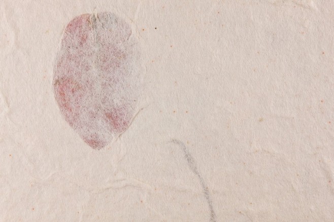 阿云ljy的個人主頁（背景預(yù)覽） - 主頁背景設(shè)置 - 站酷設(shè)計(jì)師阿云ljy原創(chuàng)素材 - 站酷ZCOOL