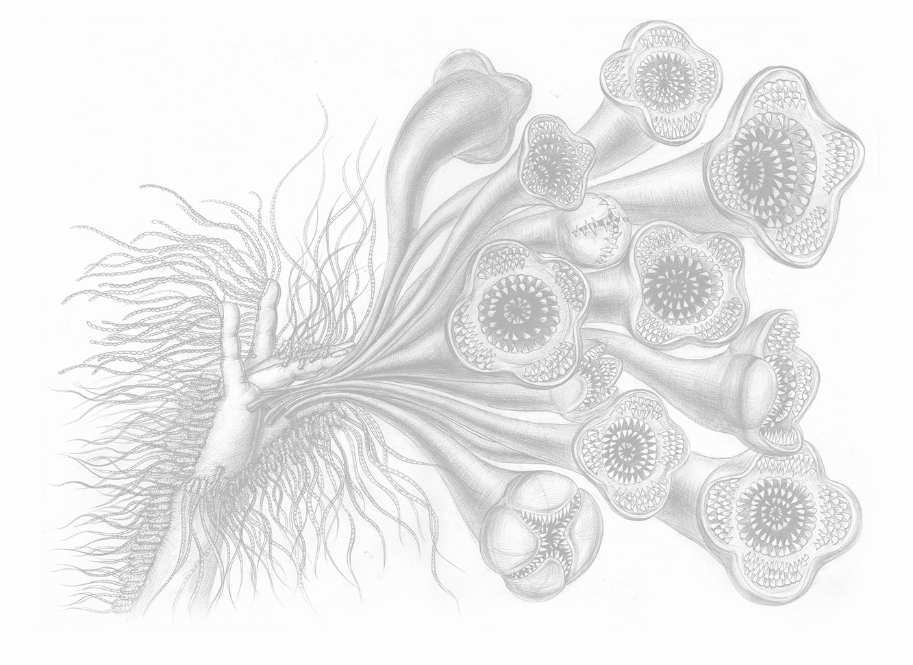 創(chuàng)意探索者的個(gè)人主頁(yè)（背景預(yù)覽） - 主頁(yè)背景設(shè)置 - 站酷設(shè)計(jì)師創(chuàng)意探索者原創(chuàng)素材 - 站酷ZCOOL