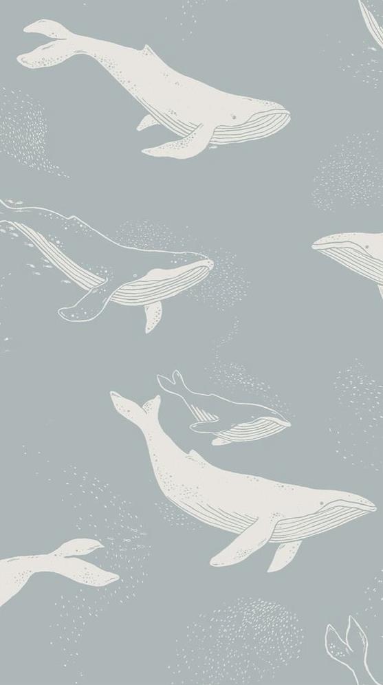 設計細狗的個人主頁（背景預覽） - 主頁背景設置 - 站酷設計師設計細狗原創(chuàng)素材 - 站酷ZCOOL