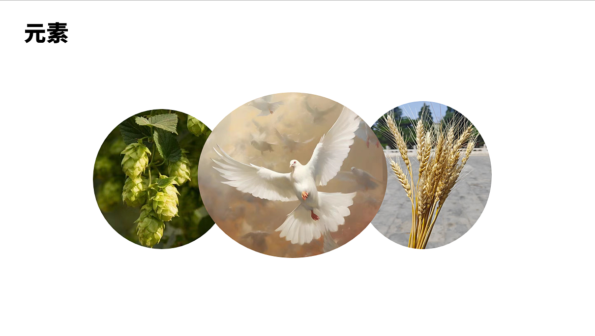 蓝带将军啤酒包装设计