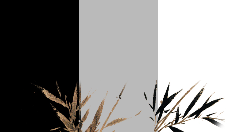 王國里的二王子的個人主頁（背景預(yù)覽） - 主頁背景設(shè)置 - 站酷設(shè)計(jì)師王國里的二王子原創(chuàng)素材 - 站酷ZCOOL