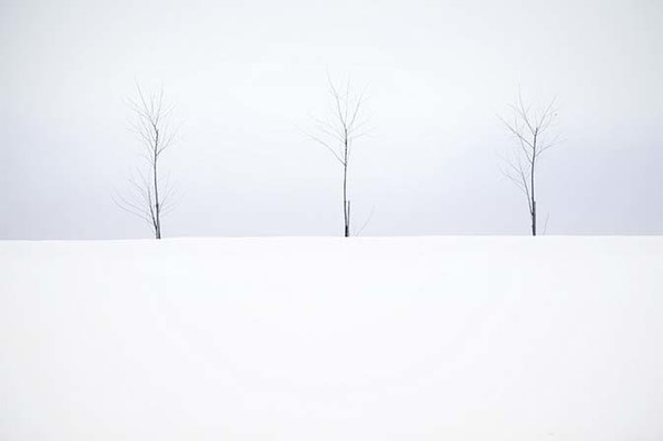 郭振振的個人主頁（背景預(yù)覽） - 主頁背景設(shè)置 - 站酷設(shè)計師郭振振原創(chuàng)素材 - 站酷ZCOOL