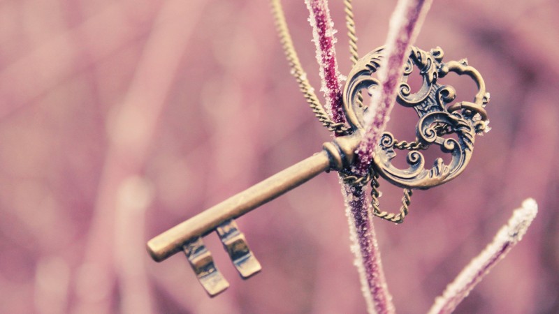 Liz貓小嘻的個(gè)人主頁(yè)（背景預(yù)覽） - 主頁(yè)背景設(shè)置 - 站酷設(shè)計(jì)師Liz貓小嘻原創(chuàng)素材 - 站酷ZCOOL