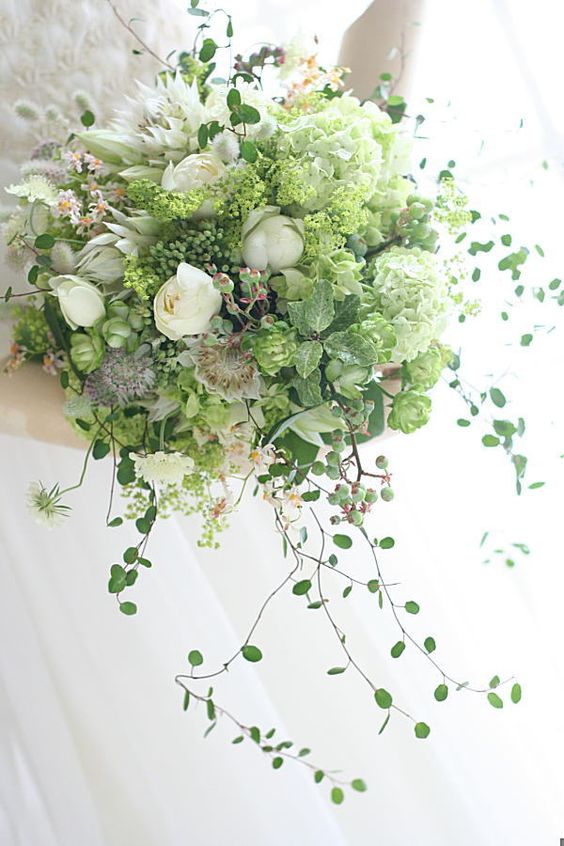 貝多貓的個人主頁（背景預(yù)覽） - 主頁背景設(shè)置 - 站酷設(shè)計(jì)師貝多貓?jiān)瓌?chuàng)素材 - 站酷ZCOOL