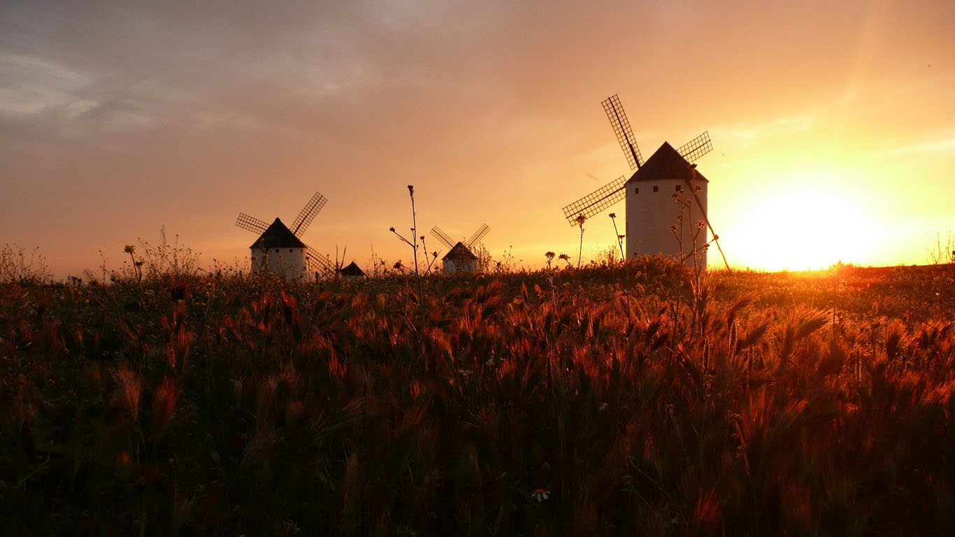 苟且诗和远方什么意思诗一样的远方是什么意思 自媒体热点