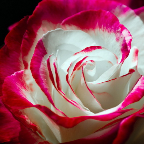 代俊嬌的個(gè)人主頁（背景預(yù)覽） - 主頁背景設(shè)置 - 站酷設(shè)計(jì)師代俊嬌原創(chuàng)素材 - 站酷ZCOOL